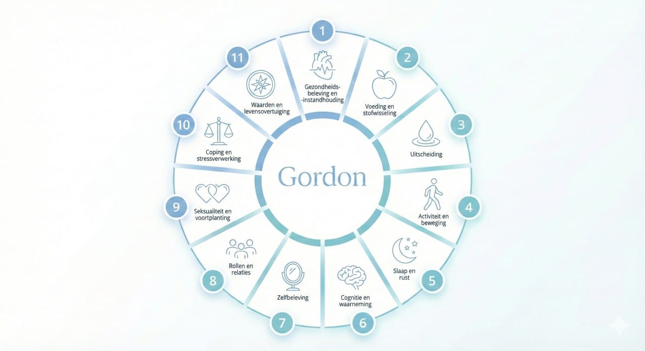 Infographic met de 11 gezondheidspatronen van Gordon in een cirkeldiagram