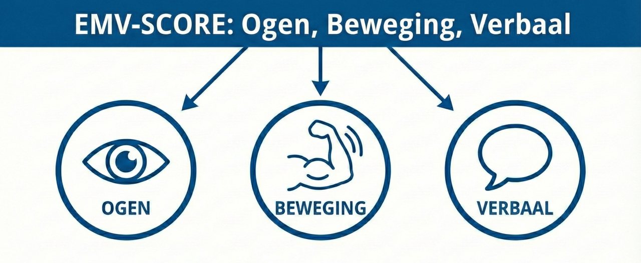 Infographic van de drie EMV-score onderdelen: ogen, beweging en spraak